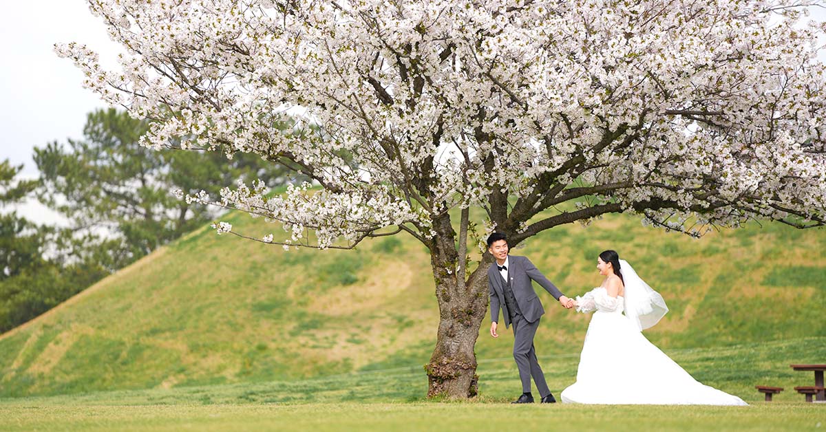 結婚式・前撮り・エンドロール撮影